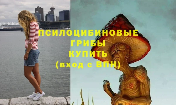 сатива Гусев