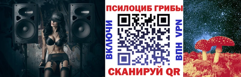 Псилоцибиновые грибы GOLDEN TEACHER Прокопьевск